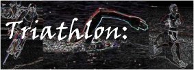 LogoXTriathlon.jpg (12250 bytes)