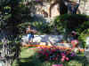 photo of the beautiful gardens at the top of the Isl. of Capri