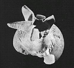 ivory pomegranate, damage to inscription