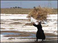 An Iraqi woman carries firewood at a camp for displaced people at Diwaniyah, south of Baghdad