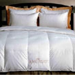 Save up to 40% on basic bedding