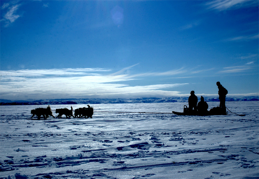 Dogsled Nunavut