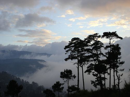 Baguio nature view