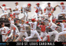 Cardinals Banner Night