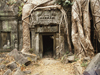 Photo: Ta Prohm temple in ruins