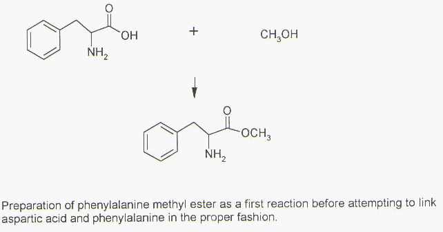 Preparation of phenylalanine methyl ester as a first reaction before attempting to link aspartic acid and phenylalanine in the proper fashion.