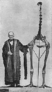 Sir Richard Owen and Dinornis (Moa) skeleton from The Book of Knowledge, The Grolier Society, 1911
