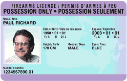 A sample of possession-only licence