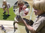 Robert Irwin, the 8-year-old son of the late Steve 'Crocodile Hunter' Irwin, feeds crocodiles at Australian zoo