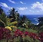 Atlantic Ocean and tropical foliage, Dominica