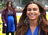 Past due! Sofia Vergara keeps toiling on the set of Modern Family in fake baby bump 