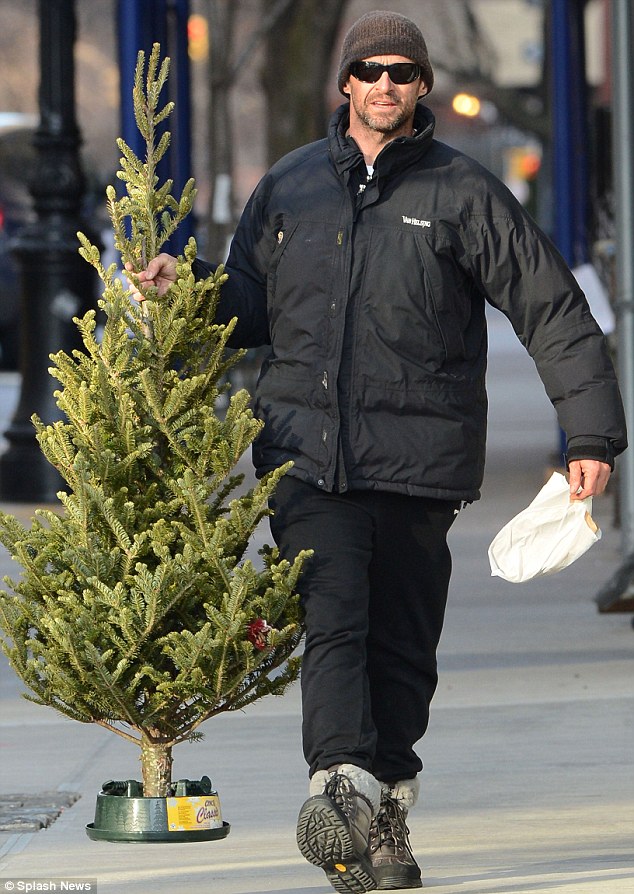 Tis the season: The actor was spotted hauling a Christmas tree home on Sunday