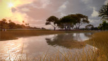 Make the shot you want in Tiger Woods PGA Tour 13 photo
