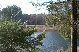 Poland, Perkuc Natural Reserve wilderness
