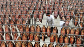 Workers hang dried fish onto poles at a processing facility on the outskirts of Hangzhou