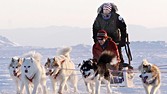 Bank of Canada Governor Carney takes a ride on a dog sled