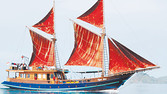 The Tiger Blue, a motorsailer, or traditional eight-sailed Indonesian phinisi