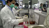 Indian laboratory researchers conduct tests at Ranbaxy Laboratories