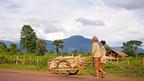 Laos’s coffee country