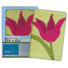Mother's Day<br>Gift Bibles