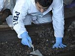 Chilean police collect dirt samples at the farm used by the sect who reportedly burned a baby alive