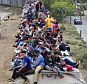 Train of death: Migrants ride on top of a northern bound train in southern Mexico on Monday