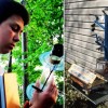 13-Year-Old Makes Solar Power Breakthrough by Harnessing the Fibonacci Sequence