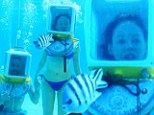 Under the sea, you and me! Newlywed Rose McGowan dons a blue bikini to go diving with new husband Davey Detail during their honeymoon in the Maldives 