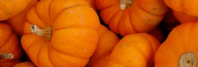 ANNual Pumpkin Carving Contest