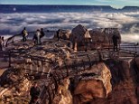 The Grand Canyon was blanketed in fog yesterday as a rare temperature inversion trapped cool air beneath the rim of the gorges