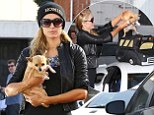 Paris Hilton carried her dog in cute bus shaped pet carrier