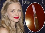 Amanda Seyfried takes to Twitter to call for tighter airport security after she accidentally brings her Swiss Army knife on a plane