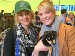 Katherine Heigl and Ali Fedotowsky rescue two ailing pups during the Winter Olympics in Sochi