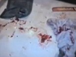 Scene of horror: This picture taken in the bathroom shows the cocked 9mm pistol Pistorius used to killed Miss Steenkamp lying on bathmat (top left) alongside the cricket bat and blood-covered towel