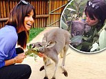 Eva Longoria cuddles a koala and kangaroo at Taronga Zoo