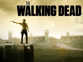 Walking Dead Season 3