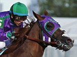 Favorite: Jockey Victor Espinoza rides California Chrome to win the 140th running of the Kentucky Derby, the horse's nasal strip visible