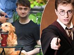 Daniel Radcliffe says he's too young to play an older, graying Harry Potter after series author J.K. Rowling debuts a short follow-up story to her last novel
