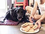 'I died today. And I ate a lot of hamburgers': Houston Labrador retriever Dukey recently became the subject of a photo series documenting his last day on Earth