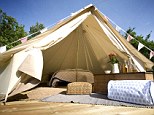 Doing it in style: Not everyone who goes to Glastonbury has to put up their own tent, these bell tents provide the perfect luxury setting for fancy festivalgoers