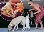 Kaley Cuoco has been away filming new movie Burning Bodhi in New Mexico. And it appears the 28-year-old was over the moon about being reunited with the furry members of her family. On Wednesday the Big Bang Theory star shared photos snuggled up to her two rescue dogs, Norm and Ruby before taking them to the vet.