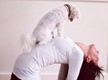 Doggy yoga: Hilaria Baldwin's dog Dama got in on the action on Saturday in her latest yoga pose Instagram