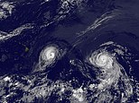 Back to back: Hurricane Iselle, left, and Hurricane Julio are shown early Thuresday morning barreling towards Hawaii. A direct hit from either would be the first in 22 years for the Pacific island chain
