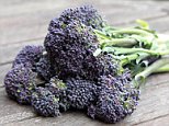 A bunch of purple sprouting broccoli.


C2KDFW