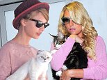 EXCLUSIVE TO INF. ALL-ROUNDER.\nSeptember 23, 2014: Taylor Swift carries her cat, named Olivia Benson, while leaving her apartment in New York City this morning.\nMandatory Credit: Elder Ordonez/INFphoto.com Ref: infusny-160