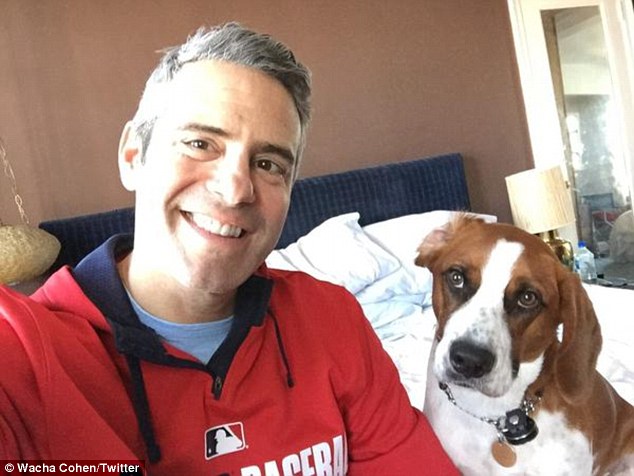 Puppy love: : Andy Cohen says fell madly in love with a beagle mix dog he rescued from a kill shelter in West Virginia. He named the dog, Wacha