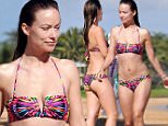 Picture Shows: Olivia Wilde  December 18, 2014\n \n **Min Web / Online Fee £500 For Set **\n \n "Meadowland" actress Olivia Wilde and her fiance Jason Sudeikis enjoy a day on the beach in Maui, Hawaii. New mom Olivia showed off her bikini body while taking a dip in the ocean with Jason. \n \n **Min Web / Online Fee £500 For Set **\n \n Exclusive All Rounder\n UK RIGHTS ONLY\n \n Pictures by : FameFlynet UK © 2014\n Tel : +44 (0)20 3551 5049\n Email : info@fameflynet.uk.com