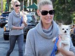 "State Of Affairs" star Katherine Heigl carrying her pooch after having lunch with her mom at Franklin and Company Cafe in Los Angeles. The actress was also seen smoking her electronic cigarrette while dining at the restaurant.\nFeaturing: Katherine Heigl\nWhere: Los Angeles, California, United States\nWhen: 27 Jan 2015\nCredit: Cousart/JFXimages/WENN.com