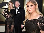 LOS ANGELES, CA - FEBRUARY 08: Recording Artist Meghan Trainor attends The 57th Annual GRAMMY Awards at the STAPLES Center on February 8, 2015 in Los Angeles, California.  (Photo by Larry Busacca/Getty Images for NARAS)
