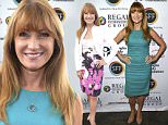 SARASOTA, FL - APRIL 17:  Actress Jane Seymour attends the Tribute Luncheon during the 2015 Sarasota Film Festival, Day 8 on April 17, 2015 in Sarasota, Florida.  (Photo by Gustavo Caballero/Getty Images for 2015 Sarasota Film Festival)